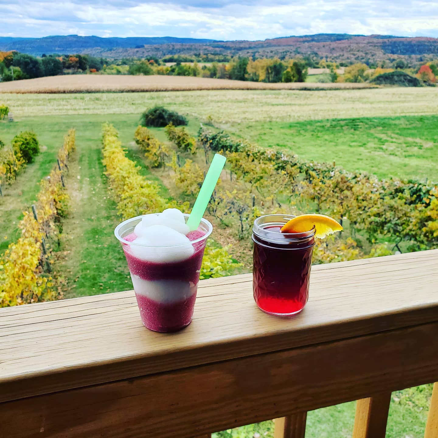 wine slushy savor wines